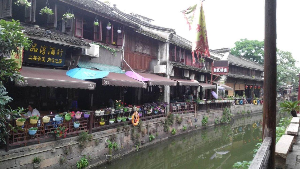 虫虫助手下载
